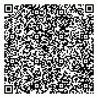 vCard 79613387931