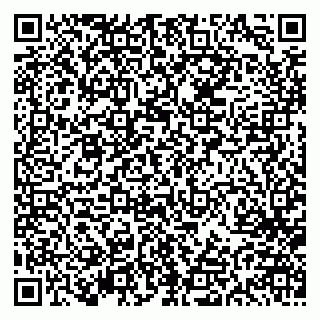 vCard 79613387933