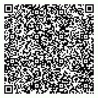 vCard 79613387937