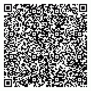 vCard 79613387938