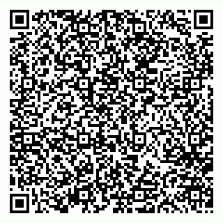 vCard 79613387944