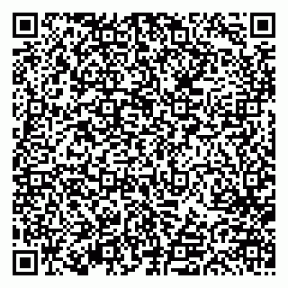 vCard 79613387950