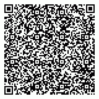 vCard 79613387960