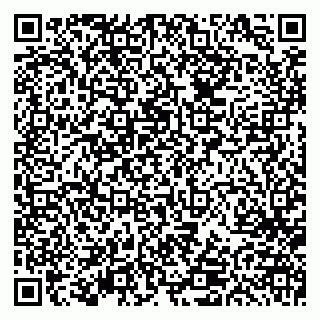 vCard 79613387968