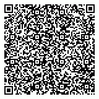 vCard 79613387969