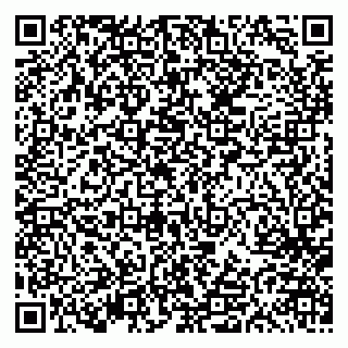 vCard 79613387974