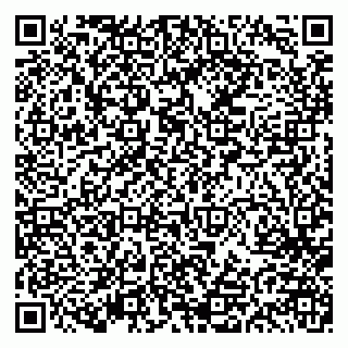 vCard 79613387981