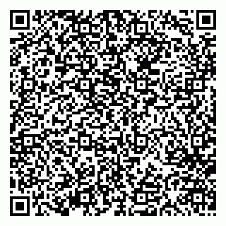 vCard 79613387986