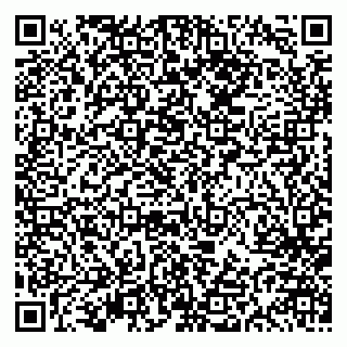 vCard 79613387987