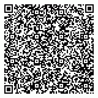 vCard 79613387989