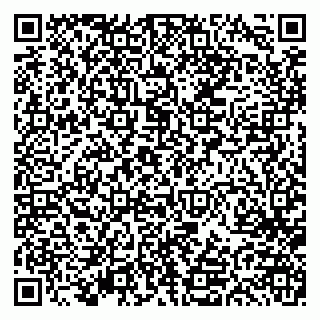 vCard 79613387990