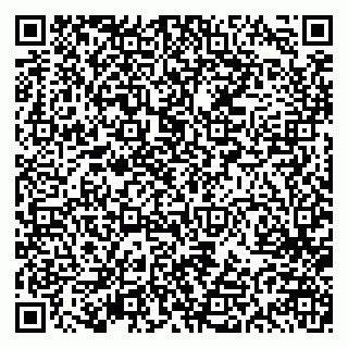 vCard 79613387993