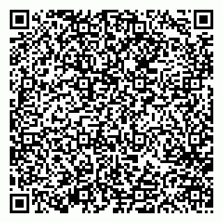vCard 79613387994