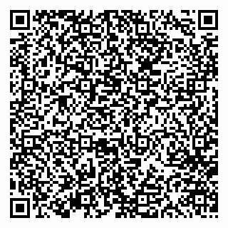 vCard 79613387996