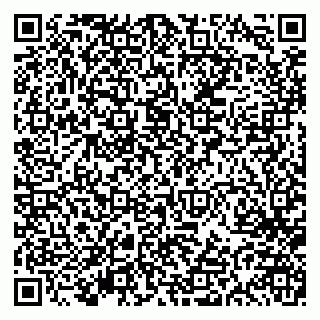vCard 79613387997