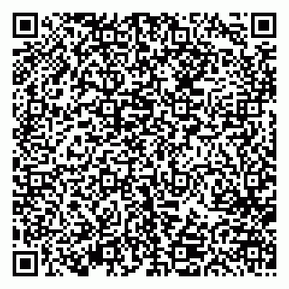 vCard 79613387998