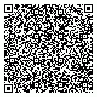 vCard 79613387999
