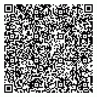 vCard 79616209333
