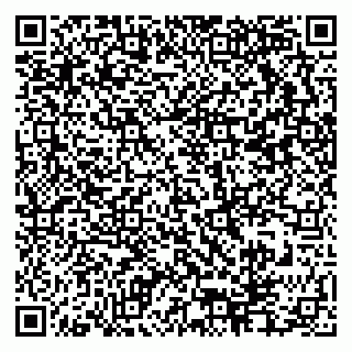 vCard 79617374039