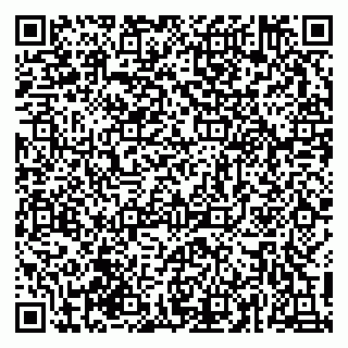 vCard 79617381073