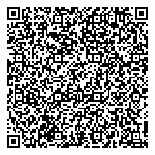 vCard 79617381191