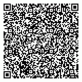 vCard 79617381333