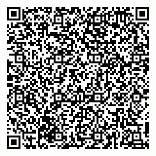 vCard 79617381578