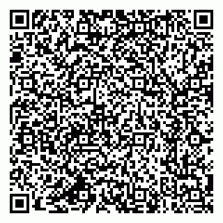 vCard 79618320933