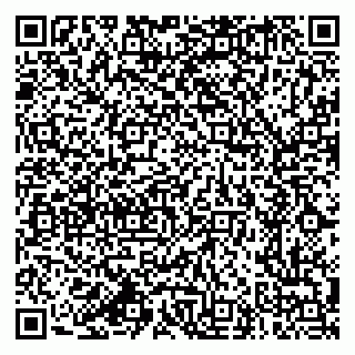 vCard 79618320937