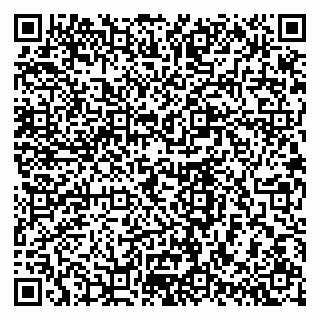 vCard 79618320939