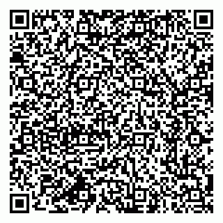 vCard 79618320959