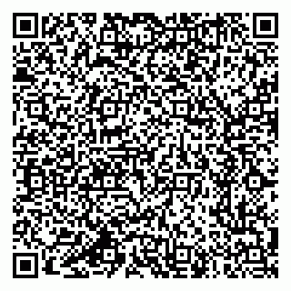 vCard 79618320961