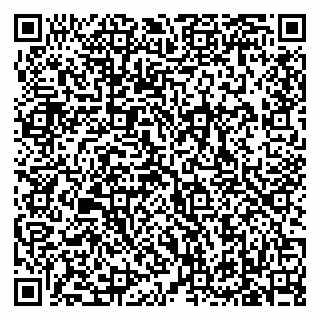 vCard 79619700863