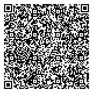vCard 79619700881