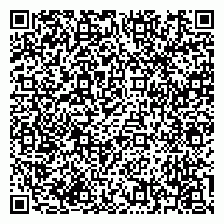 vCard 79619700909
