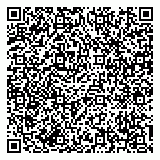 vCard 79619700917
