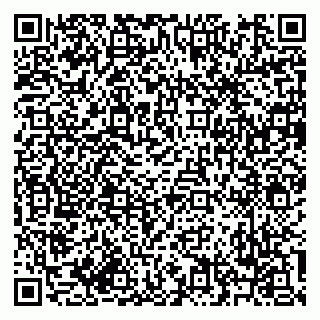 vCard 79619700930