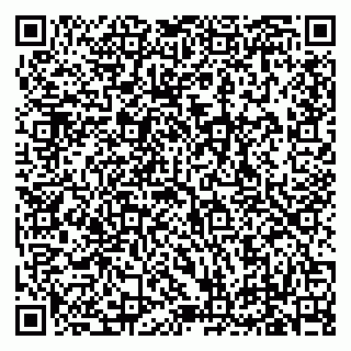 vCard 79619700931