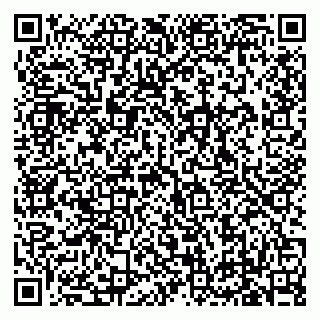 vCard 79619700933