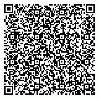 vCard 79619700934