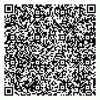 vCard 79619700935