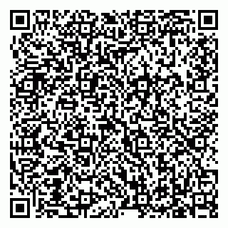 vCard 79619701035