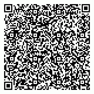 vCard 79619701293