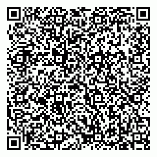 vCard 79619701305