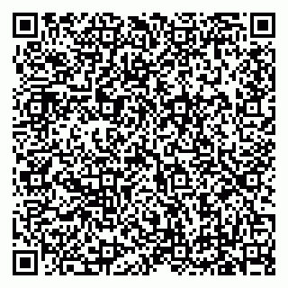 vCard 79619701313