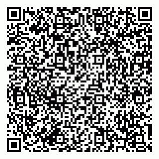 vCard 79619701319