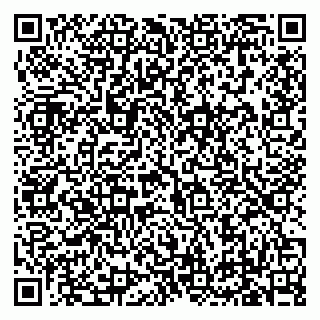 vCard 79619701330
