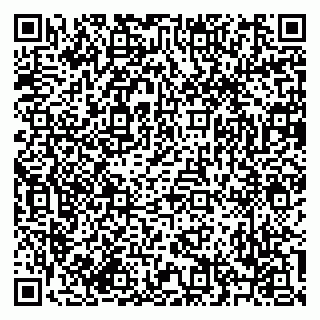 vCard 79619701331