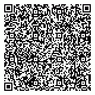 vCard 79619701335