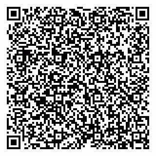 vCard 79619701363